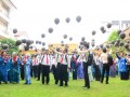 Tn 229 DSC 3131